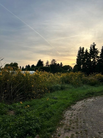 Działka Sprzedaż Dobra 1