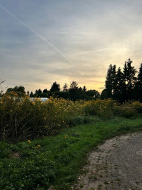 Działka Sprzedaż Dobra